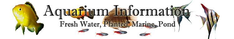 Aquarium information guide for freshwater and marine fish care